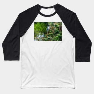 Honolulu of black-crowned night heron Baseball T-Shirt